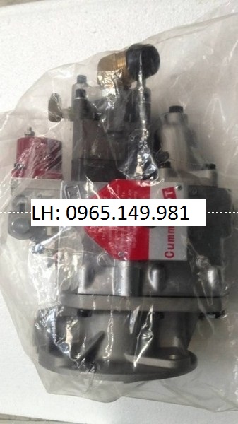 Cummins Parts Pump